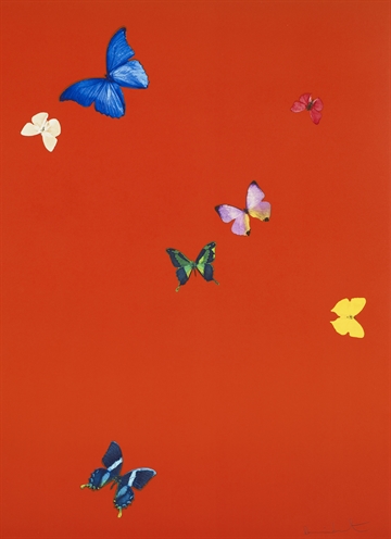 Your Feel (from The Wonder of You) by Damien Hirst